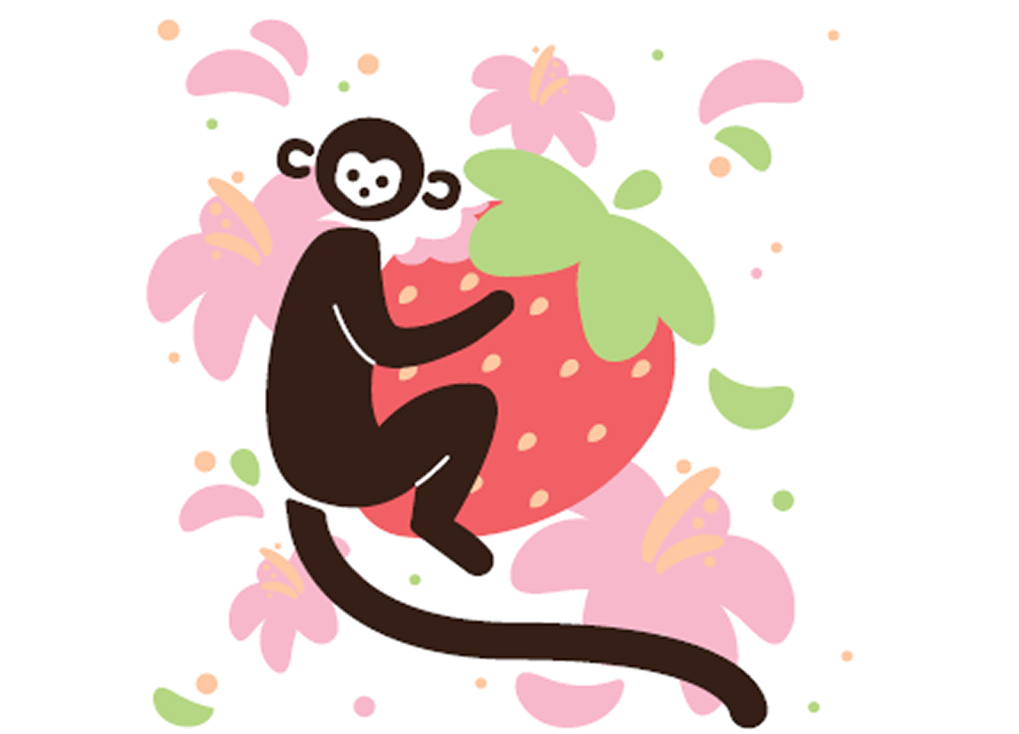 Coconut monkey fresa e ibisco